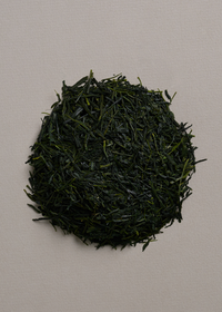Sencha Kaori